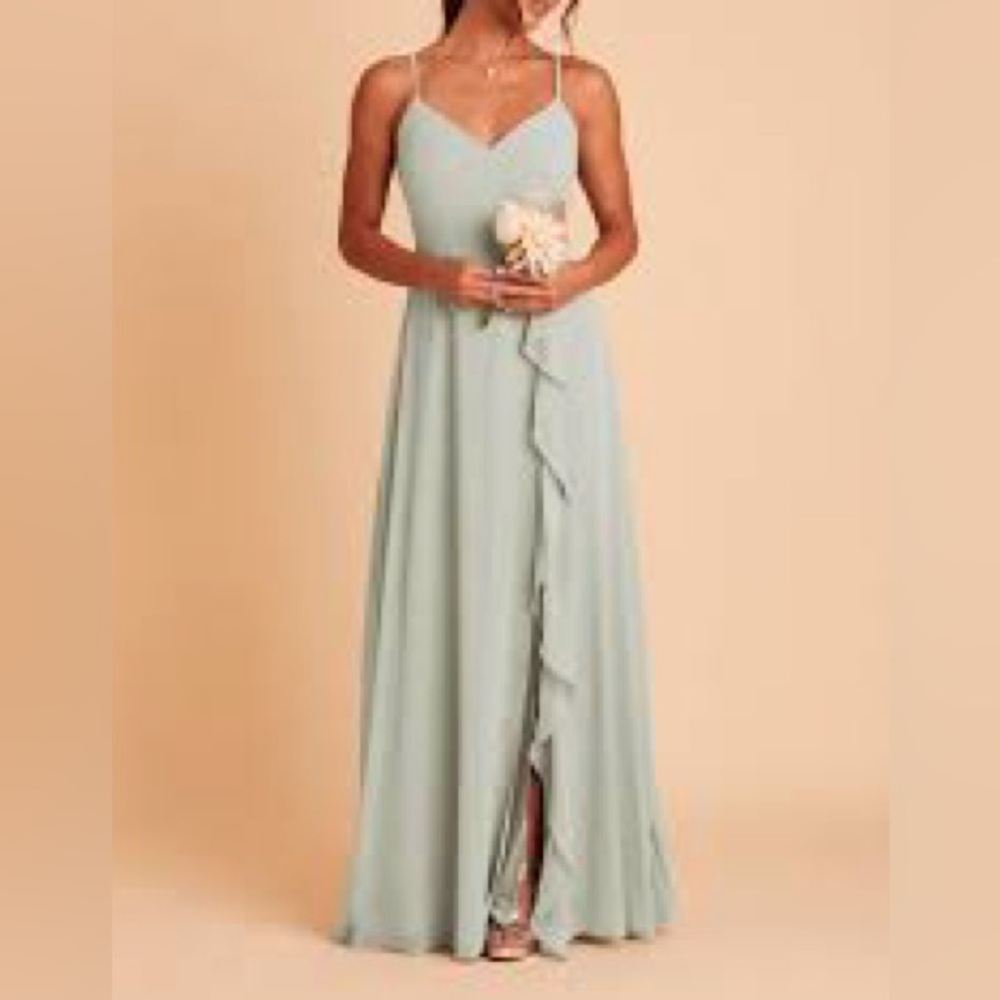 NWT! Birdy Grey Theresa Dress Paid $99 CHIFFON SAGE